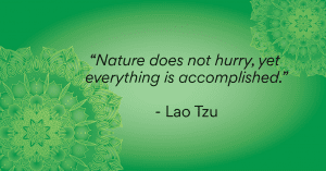 “Nature does not hurry, yet everything is accomplished.” - Lao Tzu