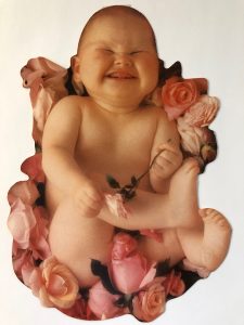 Grinning baby laying in a bed of pink roses - image by Anne Geddes