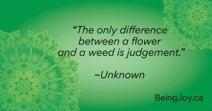quote over green mandala - “The only difference between a flower and a weed is judgement.” ⁓Unknown