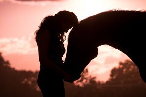 silhouette of woman and horse touching forheads