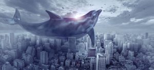 fantasy image of a dolphin super imposed over a picture of New York City
